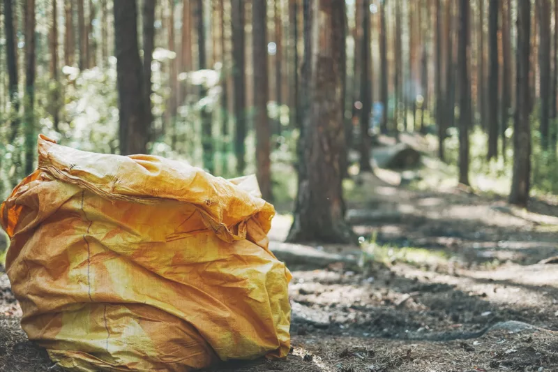 Illegaler Müll in Sachsen: Kommunen setzen auf Umweltdetektive
