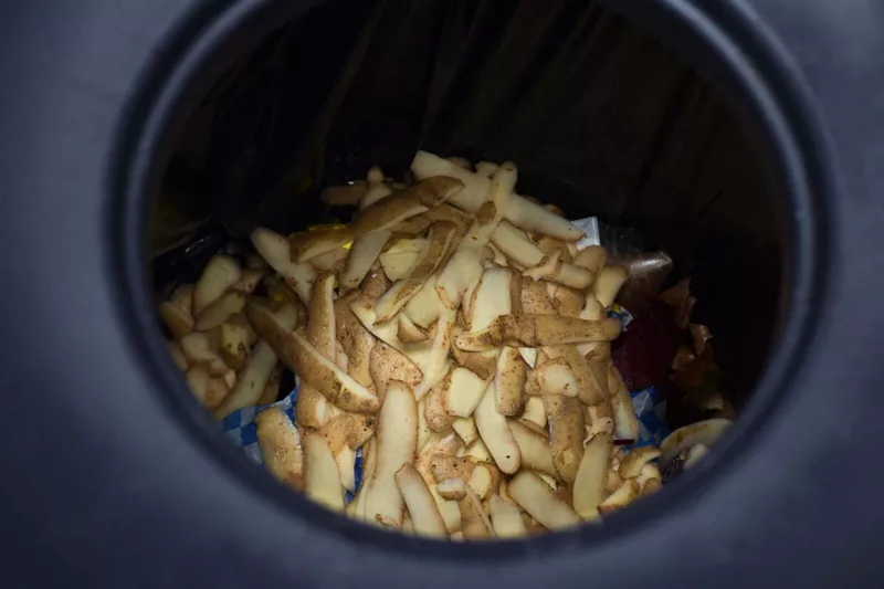 Bioabfall in der braunen Tonne