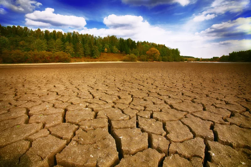 Klimawandel und die Folgen