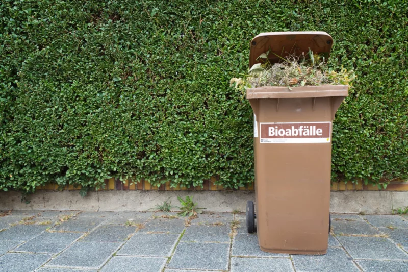 Was gehört in die Biotonne? 1 Chaos in der Biotonne