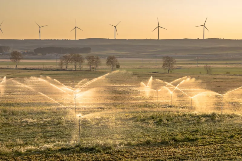 Brandenburg plant Klimaabschlag für Grundwasser