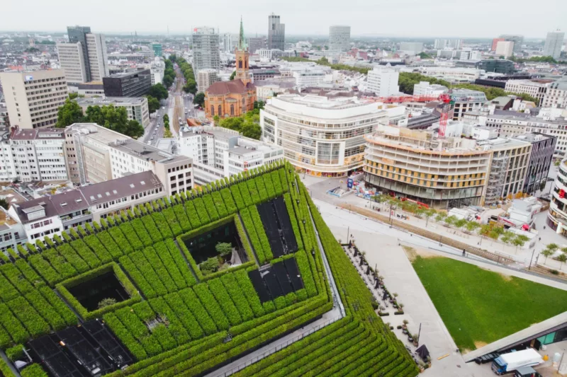 Grüne Dächer sind Teil von Maßnahmen für Klimaanpassung