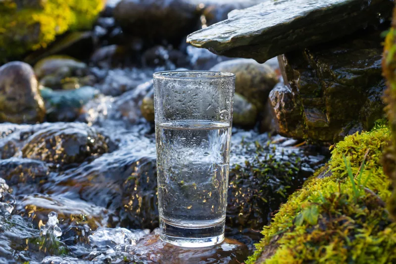 Glas mit Trinkwasser steht vor einer natürlichen Quelle